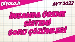 AYT Biyoloji  İnsanda Üreme Sistemi Soru Çözümleri  AYT Biyoloji 2022 hedefekoş [upl. by Eidolem]