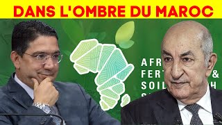 Phosphates et Afrique  LAlgérie apprenti sorcier dans le jardin africain du Maroc [upl. by Ainslie]