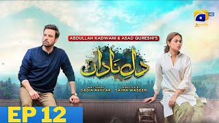 Dil e Nadan Ep 12  New Interesting Promo Teaser Review  Mikaal Zulfiqar  Amar Khan  Ali Abbas [upl. by Latreece446]