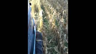 Gleaner k combining corn [upl. by Kcyrred]