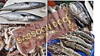 Sassoon dock fish 🐠🐋🐟marketmachi marketmumbai [upl. by Deva351]