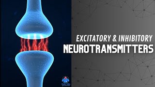 Excitatory and Inhibitory Function of Neurotransmitters  Synapse  Dr Krunal Dabhi [upl. by Annaeerb]