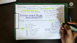 PENICILLIN ANTIMICROBIALS PHARMACOLOGY  FA  USMLE STEP1 [upl. by Hamal]