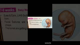 FETAL DEVELOPMENT first month to 9 monthyoutubeshorts viralvideo [upl. by Neelrahs]