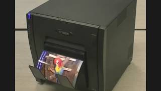 Citizen OP900 Professional Digital Photo Printer  producing 4x6 inch prints every 8 seconds [upl. by Lennaj]