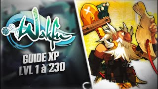 WAKFU  où XP du lvl 1 à 230  donjons 110 farm tranquille [upl. by Orme254]