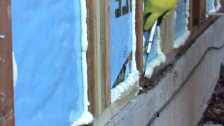 DIY Spray Foam Insulation  Poor Mans Spray Foam [upl. by Elime]