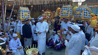 Jaba Tengah Pura Puseh Cau Sesuhunan Petiga Nodya Karya Agung Ngusaba DesaNgusaba Nini 10092024 [upl. by Honeyman]