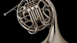 Hindemith Sonata for Horn and Piano Lee Bracegirdle horn Susan Teicher piano [upl. by Ardnekan169]