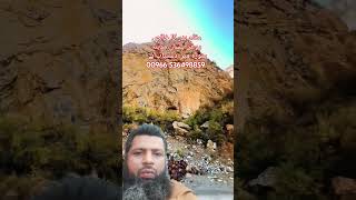 Quran madina munawara rogan balsan tree Pakistan comedy viral short [upl. by Iroj]