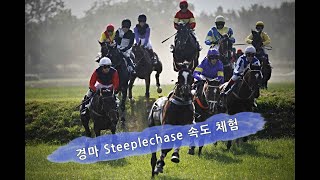 경마경주 Steeplechase의 속도 체험 5 [upl. by Haseena128]