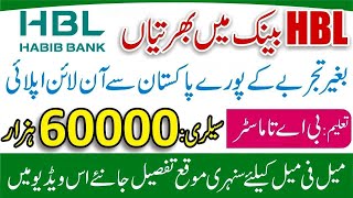 HBL Jobs Online Apply 2024  HBL Bank Teller Jobs 2024 HBL Bank Cash Officer 2024 [upl. by Cormack]