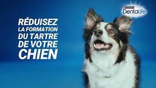 DENTALIFE® CHIEN Hygiène BuccoDentaire pendant 28jours [upl. by Eirol553]