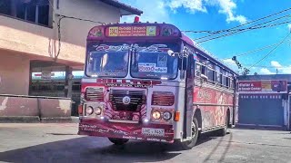 රූට් එකේ රතු බලකාය❤️😍  ධනුද්දරී Hiltop Power Line  Tango Town  STS Videography [upl. by Alyk]