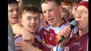 Dr Harty amp Croke Cup Champions 2017 [upl. by Marmaduke]