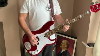 Hong Kong garden Siouxsie And The Banshees brief bass guitar lesson and cover by The Bass Punk [upl. by Alleris]