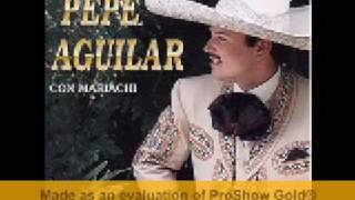 Pepe Aguilar  Me Bebi Las Estrellas [upl. by Primaveria335]