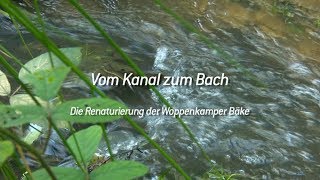 Woppenkamper Bäke  Vom Kanal zum Bach [upl. by Wilson]