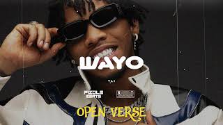 Tekno  WAYO OPEN VERSE  Instrumental [upl. by Rehptosirhc]