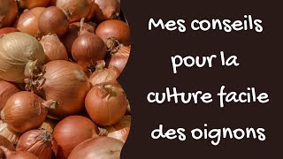 Mes conseils pour la culture facile des oignons [upl. by Nirrad]