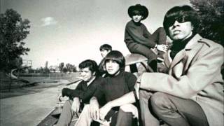 Question Mark and The Mysterians 96 Tears LIVE Roir Sessions [upl. by Camilo]