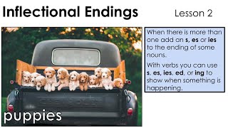 Inflected Endings s es ies  Lesson 2 [upl. by Eob]