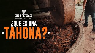 🤔¿Qué es una TAHONA  Así TRITURAMOS el AGAVE para MEZCAL MITRE🐆 [upl. by Noma]