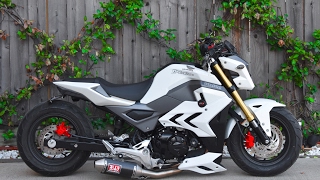 Honda Grom MSX125 MSX125sf Air Suspension Bagged Lay Frame Stretch DungStar DungStarGrom [upl. by Lenwood]