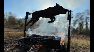 Wild Pig Hunt And Rotisserie Over the Fire SO GOOD [upl. by Ybrek]