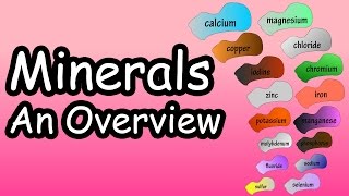 Minerals  What Are Minerals  What Do Minerals Do  What Are The Essential Minerals [upl. by Viviane]