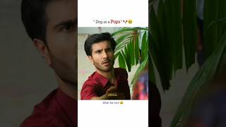 Dog as a pops🐕😅 aliansari ferozekhan pakistanidrama ytshorts funny viral shorts dog laugh [upl. by Lewert542]