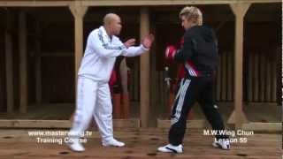 Wing Chun for beginners lesson 55 Basic spar work front kick [upl. by Thisbee291]