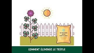 Comment éliminer le trèfle [upl. by Atiugal782]