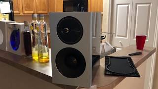 Definitive Technology Demand Series D11  Bookshelf Speakers [upl. by Niryt]