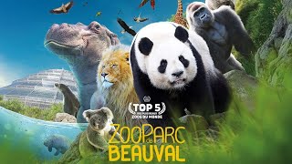 Zoo Parc de Beauval 2023 Plus grand Zoo de France [upl. by Anyt]