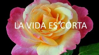 La vida es corta [upl. by Inger]