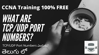 Port Numbers Explained  Cisco CCNA 200301  Networking in Telugu [upl. by Caughey]