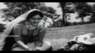 Evergreen Film Song  Aattuvanchi Kadavilvachu  Kayamkulam Kochunni  Malayalam Film Song [upl. by Trilly]