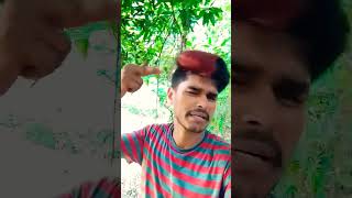 Goli dulha ke marab kapaar mein song newsong music love bhojpuri [upl. by Scotty90]