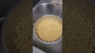 MACARONI SALAD WITH CELLENTANI PASTA cooking [upl. by Ainekahs]