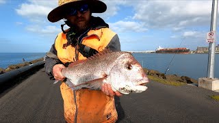 Portland 775cm Snapper of the portland breakwall early season snapper 3924 day after storms [upl. by Lydie880]