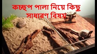 কচ্ছপ নিয়ে যেই বিষয় গুলো আপনাদের যানা উচিৎ  4K part1 [upl. by Nelubez800]