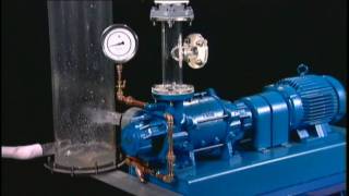 NASH Liquid Ring Vacuum Pump Reliability [upl. by Hachmin]