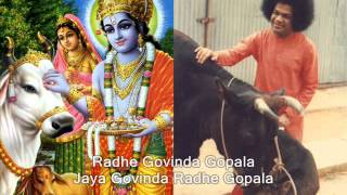 Radhe Govinda Gopala  Sai Krishna Bhajan Devotees [upl. by Naquin]