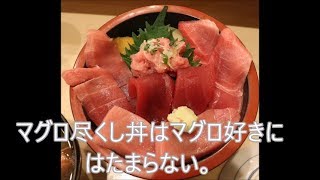 豊洲市場磯寿司でまぐろ尽くし丼を食べてきた。 [upl. by Yared147]