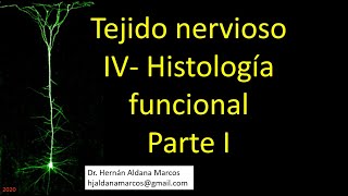 Histología funcional del tejido nervioso Video 1 de 6 Hernán Aldana Marcos [upl. by Heringer]