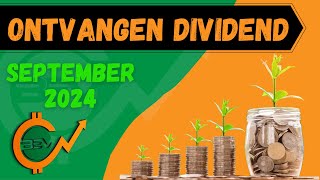 ZOVEEL DIVIDEND HEB IK ONTVANGEN VAN MIJN 28000 PORTFOLIO  DIVIDEND SEPTEMBER 2024 [upl. by Ardnaik]