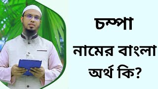 চম্পা নামের অর্থ কি  Chompa namer ortho ki  Champa name meaning in Bangla [upl. by Straus]