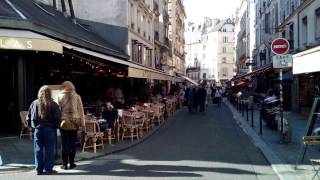 Ambiance sonore  Terrasse de café à Paris Binaural [upl. by Kaela972]