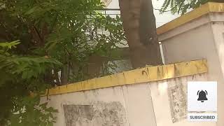 322 Vaigai St Gowriwakkam Sembakkam Chennai Tamil Nadu [upl. by Ahsikal]